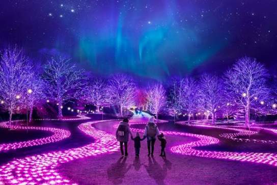 Northern Lights Manchester with John Lewis: Festive Magic Illuminates Heaton Park
