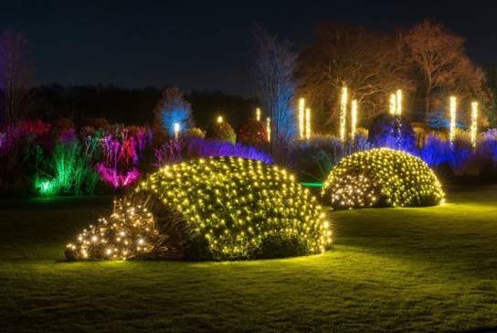RHS Glow at RHS Garden Bridgewater: Magical Winter Lights, UK Premieres & Festive Fun (2025 Guide)