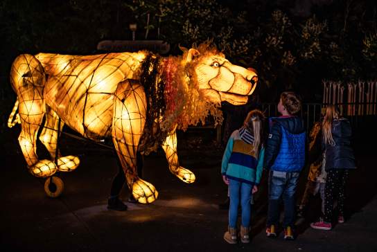 10 Christmas Lights displays around Manchester this winter