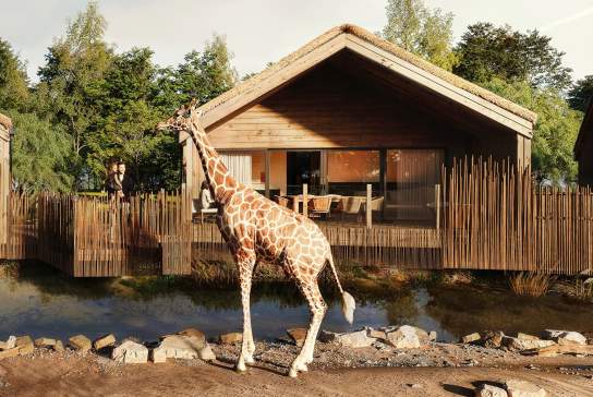Artists Impression of The Reserve at Chester Zoo