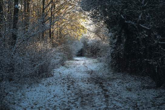 Best Boxing Day Walks in Greater Manchester