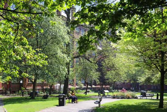 The Best Picnic Spots in Manchester (2026): Parks, Gardens & Takeaway Food Nearby