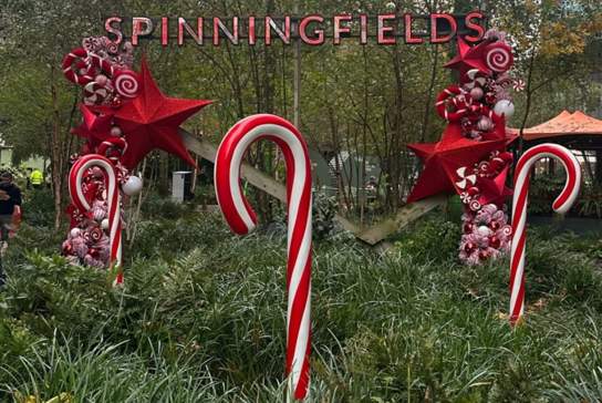 Experience a Magical Christmas at Spinningfields