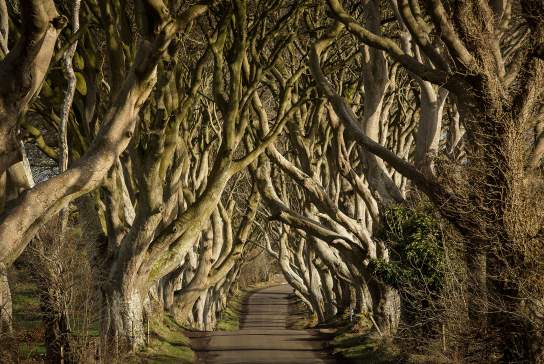 Filming Locations in Northern Ireland