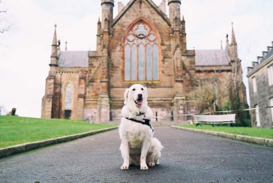 Eat, Stay & Play: A 24-Hour Dog-Friendly Itinerary in Armagh