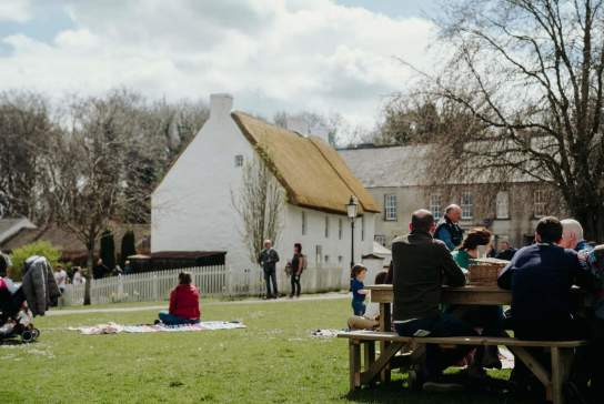 Visitors enjoying picnics in the grounds of Ulster Folk Museum