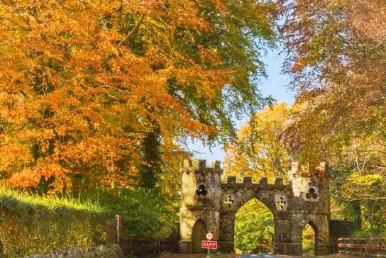 Autumn Walks In Northern Ireland