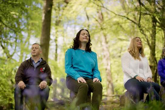 Group enjoying some guided meditation in a forest as part of an Xhale tour.