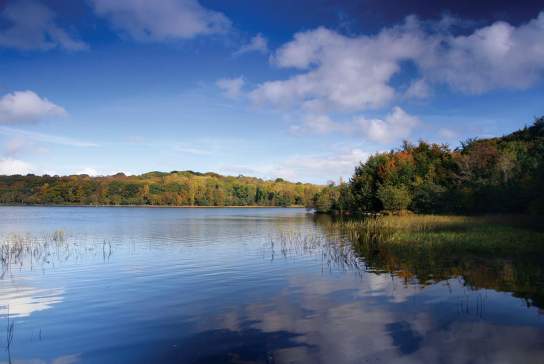 Lake River Outdoors Nature