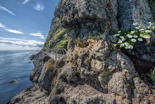 Causeway Coastal Route