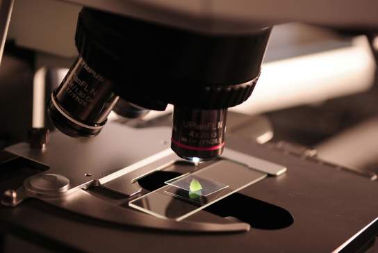 Life Science
