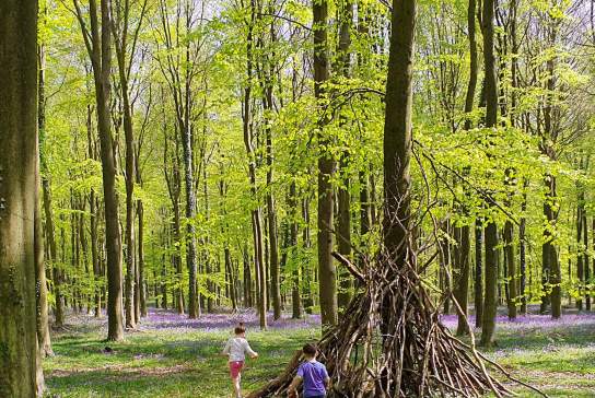 Discover Winnie‑the‑Pooh Inspired Spots Across Sussex