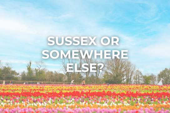 Discover the regions' best destination dupes