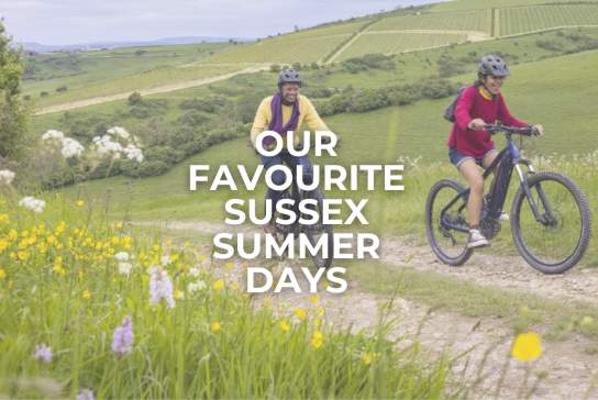 5 Perfect Summer Days in Sussex: Local Favourites for Sun, Sea and Scenery