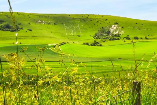 20 things you can only see and do in Sussex