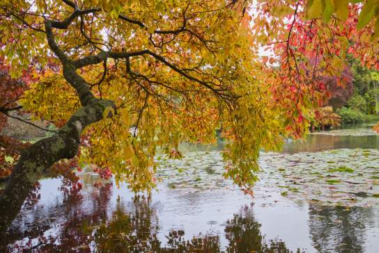 Why Sussex Is Your Perfect Autumn Escape This Year