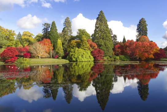Autumn Colour at Sheffield Park and Garden in Sussex