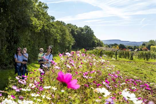 Ideas for Mother's Day in Sussex