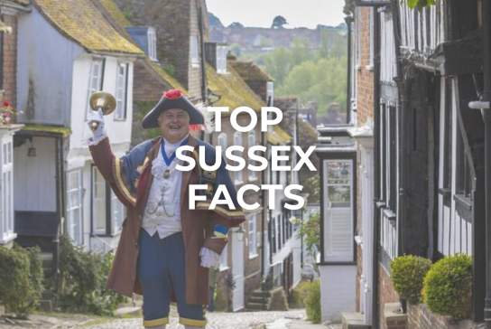Discover Sussex: Top Intriguing Facts About Our Charming Region