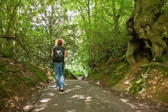 Unmissable walks across Sussex