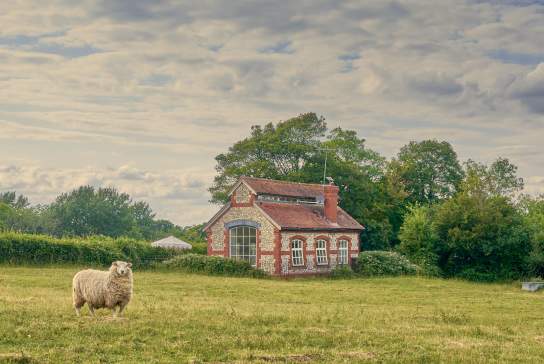 Luxury holiday homes in Sussex