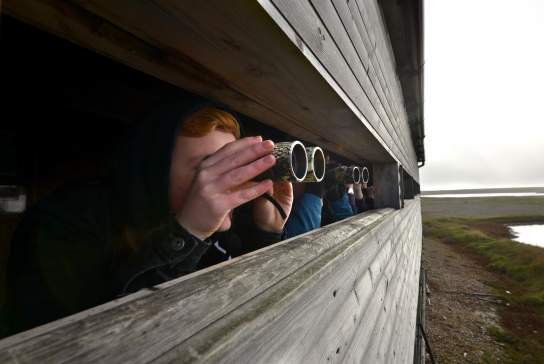 Top Wildlife Trust Nature Reserves in East and West Sussex