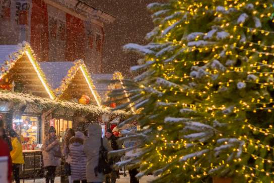 Christmas Markets in Sussex to visit in 2025