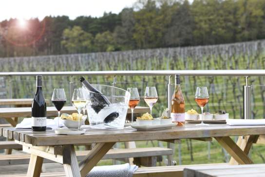 Sparkling and Spas: Three days of Sussex wine and wellness