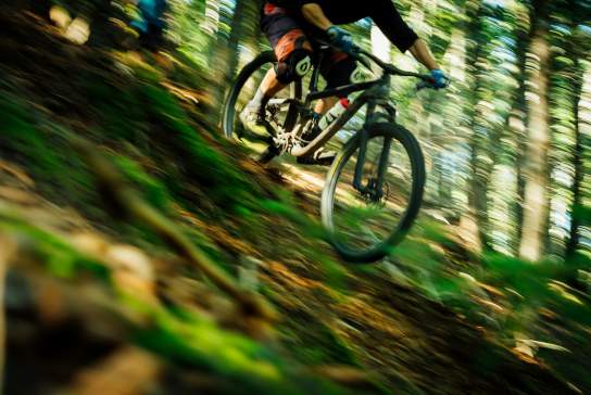 Cycling routes in Sussex