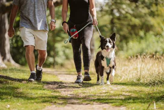 Couple walking dog on countryside path