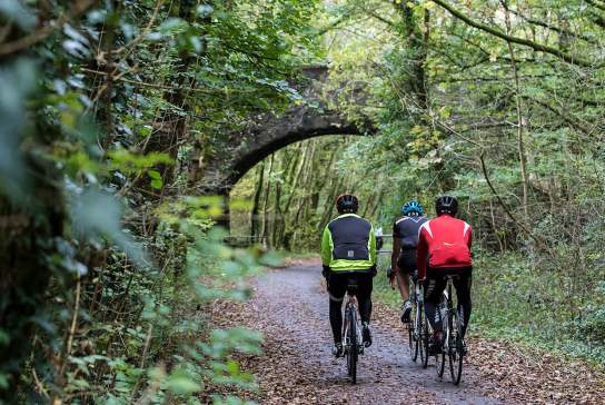 Three cyclists, cycling away from the camera, on a bike path surrounded by trees.