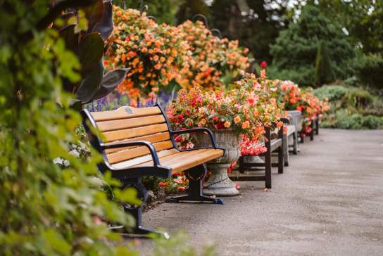 Botanical Gardens at Singleton