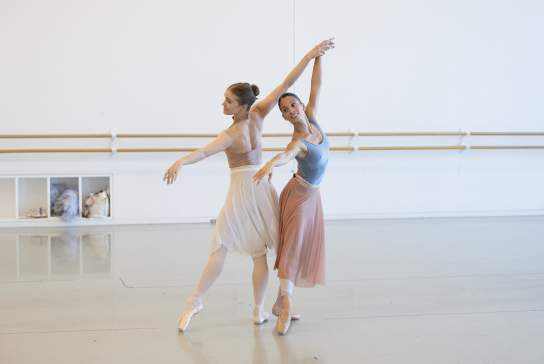 Houston Ballet: An Evening with the Stars