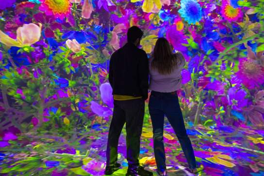 ARTECHOUSE presenta Blooming Wonders: A Celebration of Spring