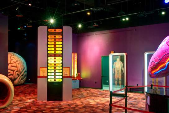 El camino hacia la erradicación del cáncer: de la causa a la cura