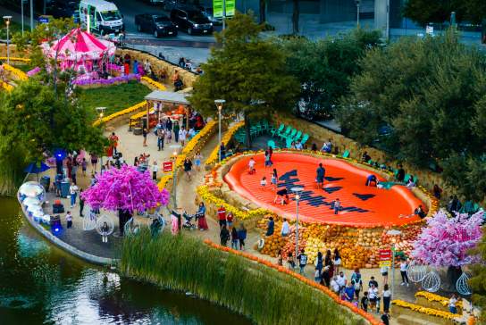 Houston Pumpkin Festival