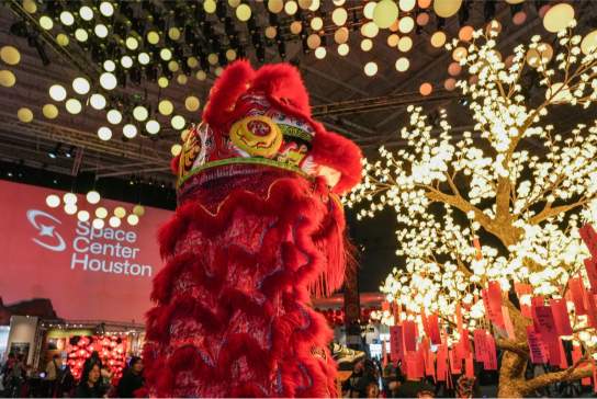 Lunar New Year Celebration