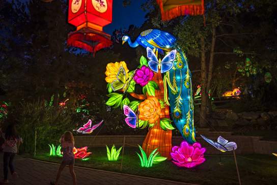Radiant Nature en Houston Botanic Garden