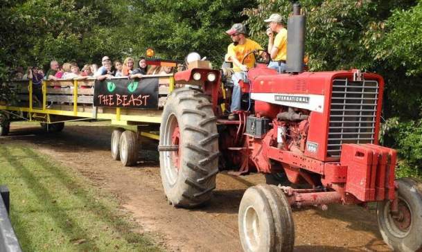Buford Corn Maze🌽🌽🌽