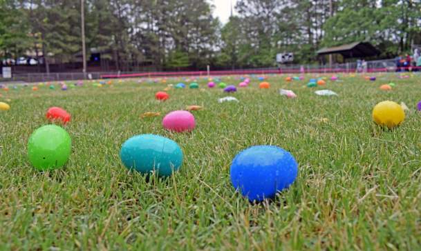 Spring Garden Egg-Stravaganza🐰