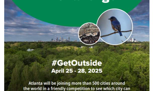 Greater Atlanta City Nature Challenge