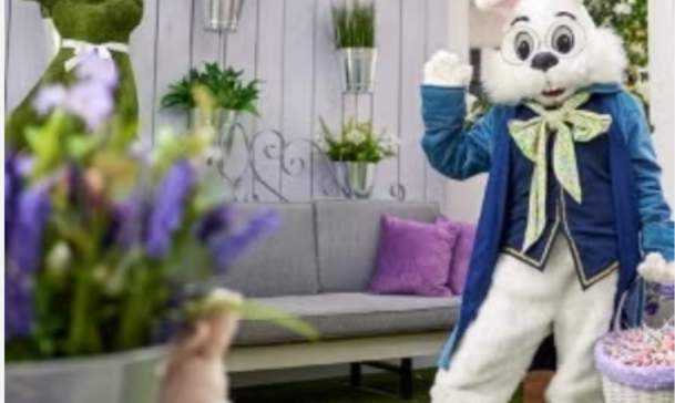 Easter Bunny Photo Experience🐰
