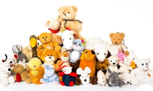 Stuffed Animal Sleepover Ages 3-11