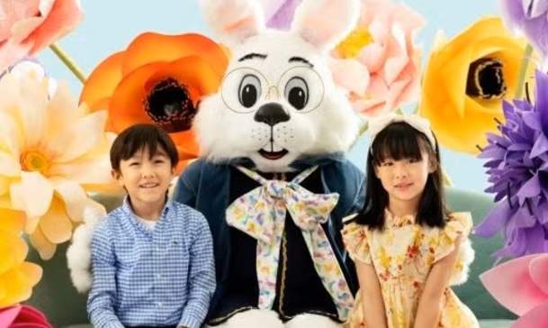 Easter Bunny Photos🐰