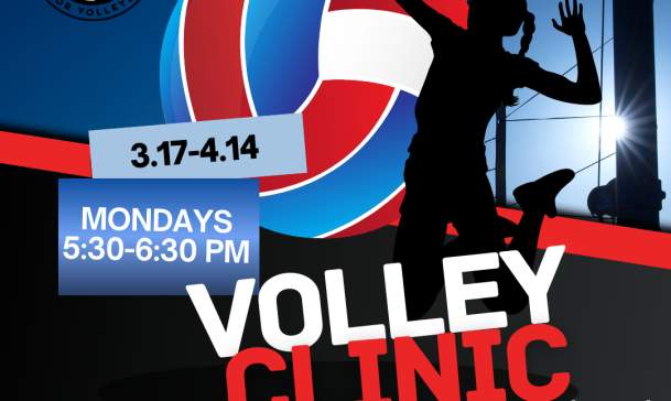 ATL Vibe Volleyball Elementary School Clinic