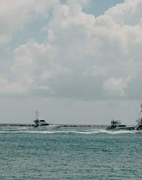 Things to do-fishing-charters-offshore