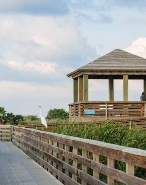 Nature Preserve
