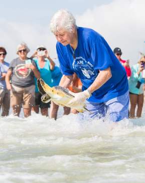 Turtle Release