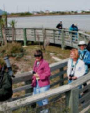 Wetland Park