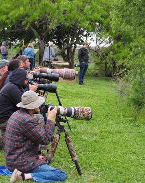 Leonabelle Turnbull Birding Center